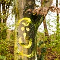 Baum - Copyright Sylvia Horst